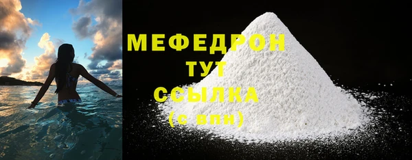 мдпв Елабуга