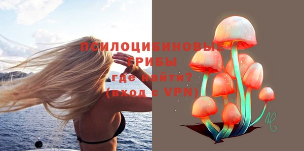 мдпв Елабуга
