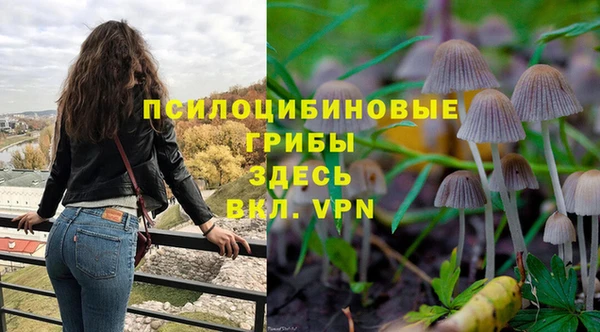 мяу мяу кристалл Ельня