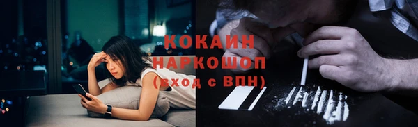 мдпв Елабуга
