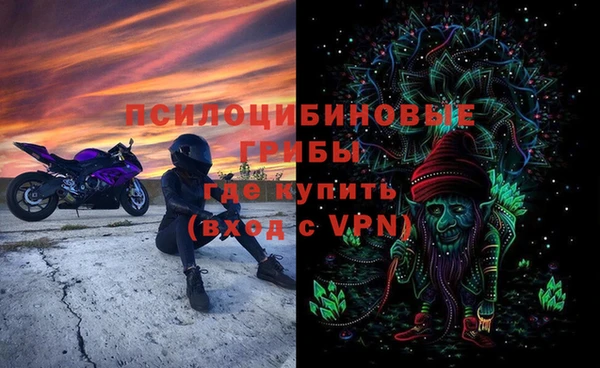 мдпв Елабуга