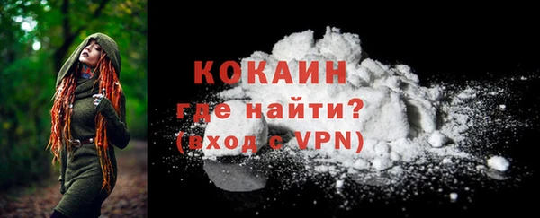 мдпв Елабуга